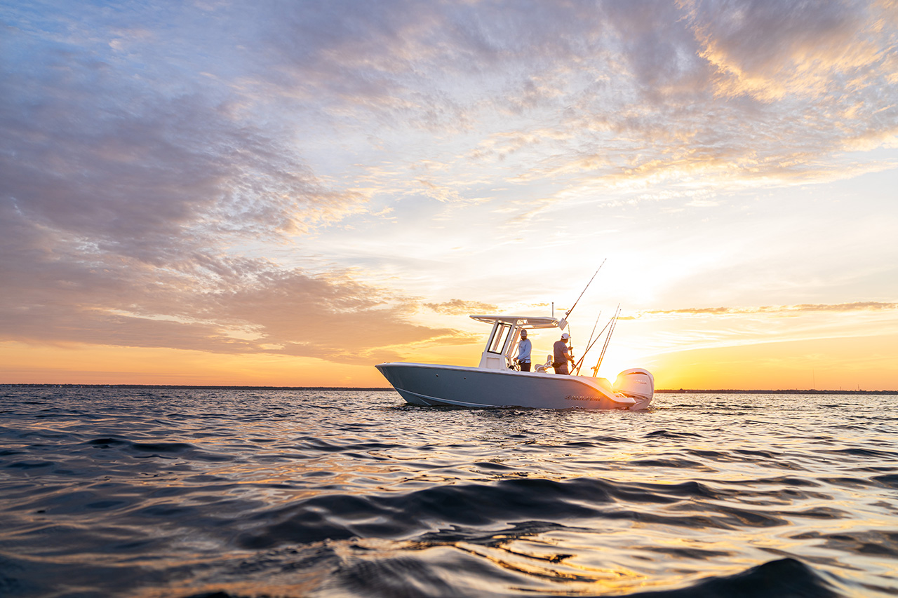 Sailfish Gallery Image 5