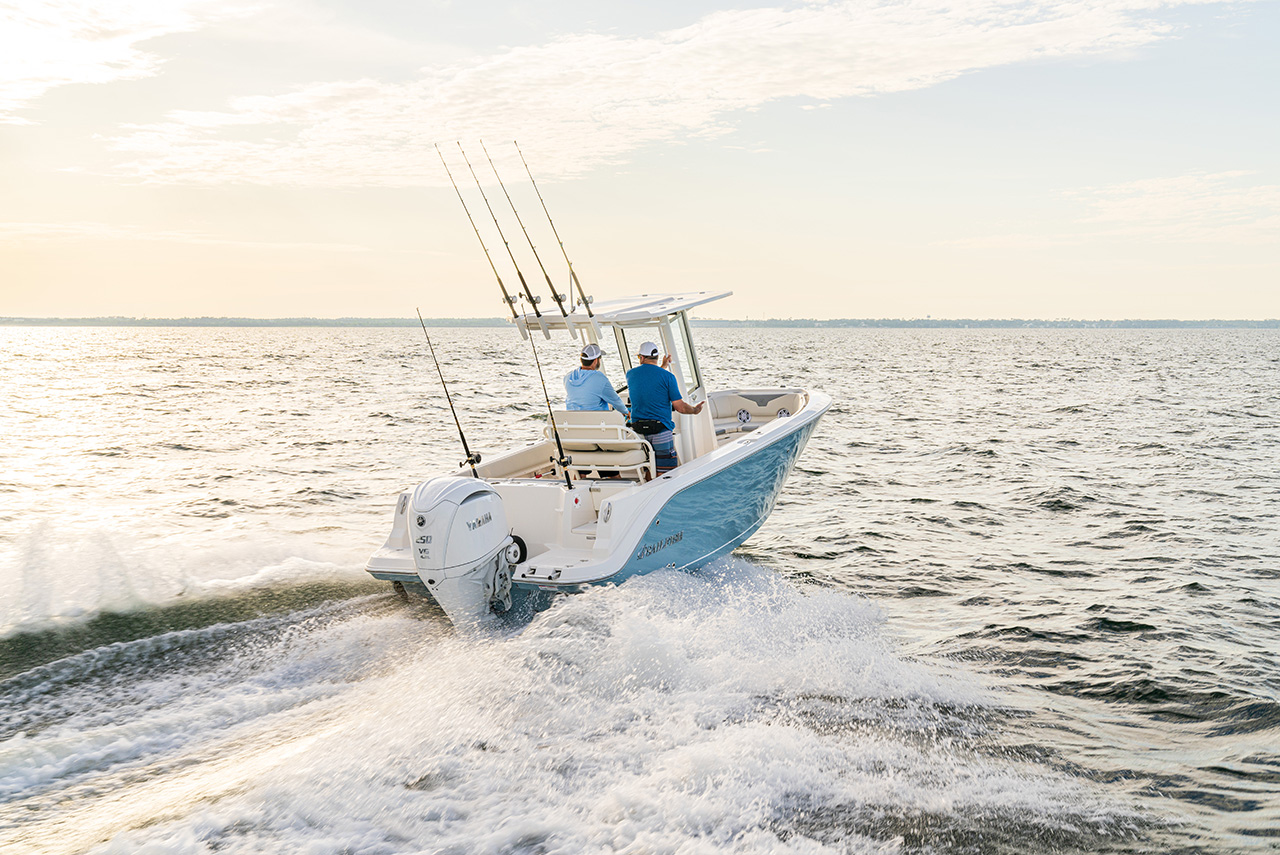 Sailfish Gallery Image 8