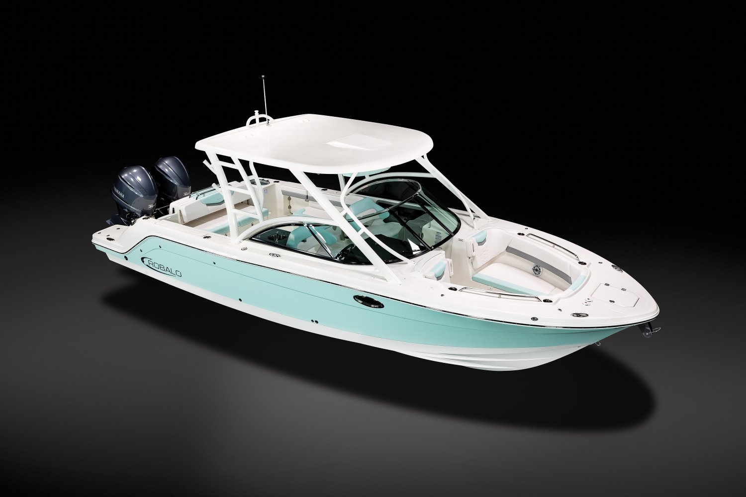 Robalo Gallery Image 5