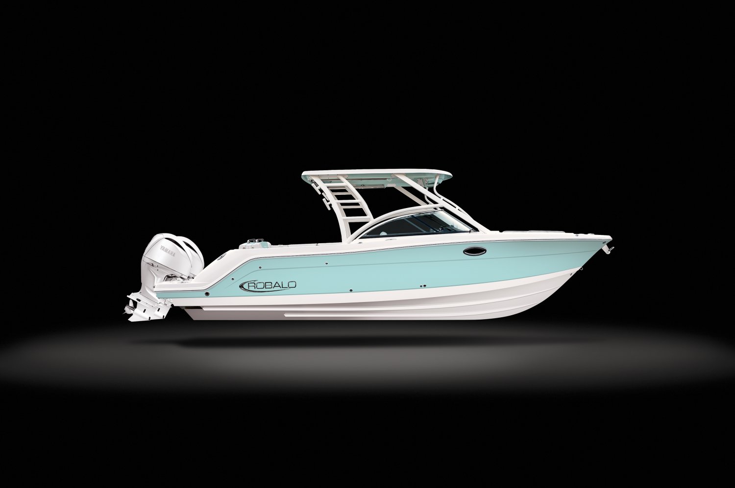 Robalo Gallery Image 6