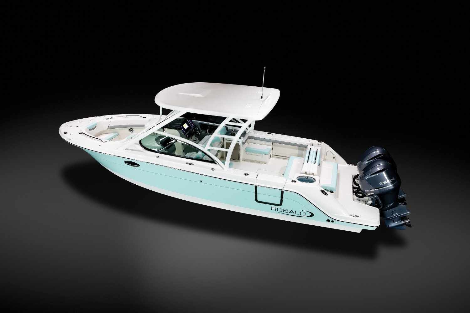 Robalo Gallery Image 4